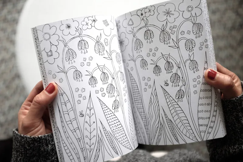 top 20 coloring books for adults